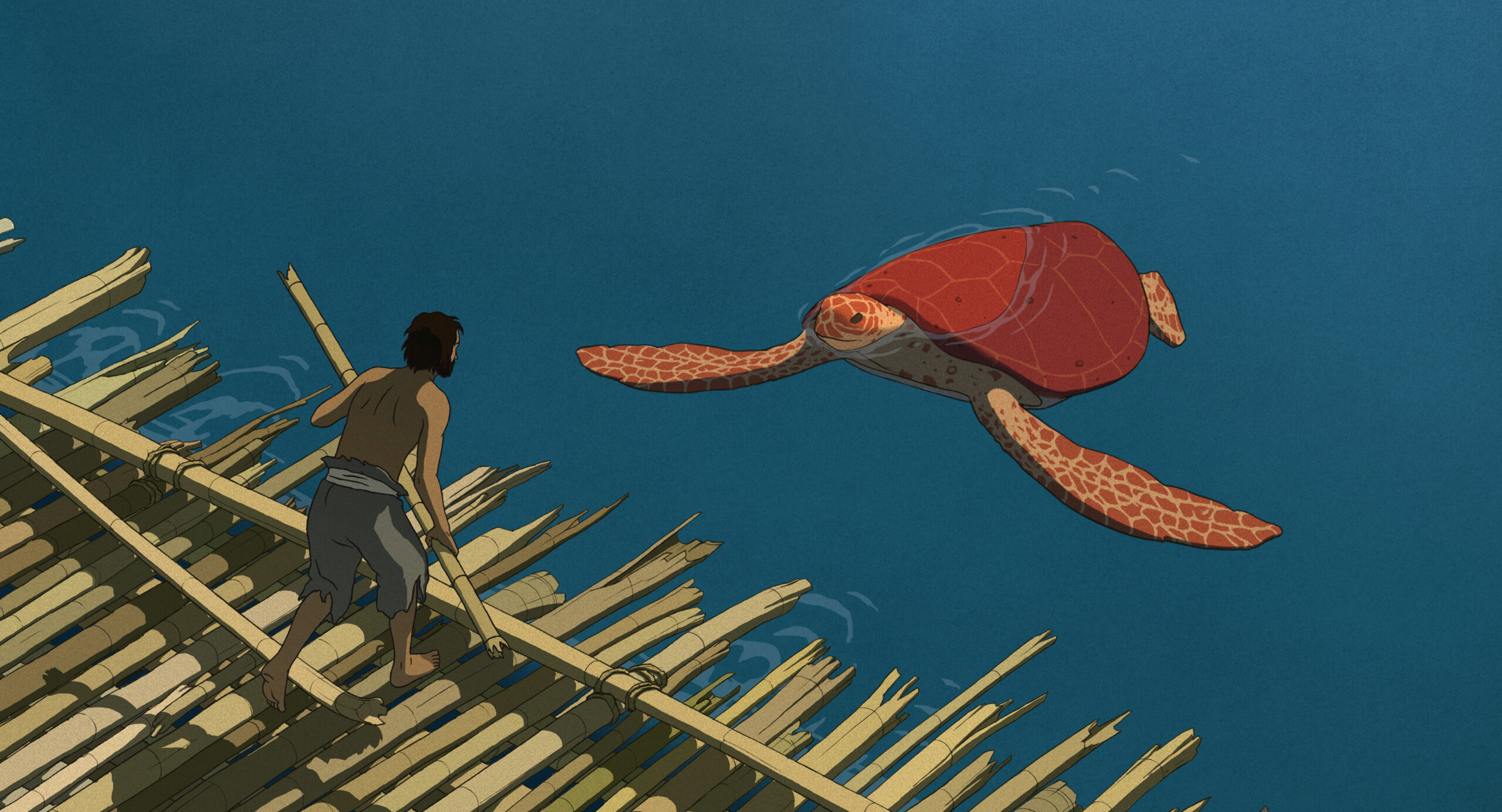 the red turtle 3632533005